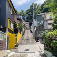 川崎市岡上付近の急坂を巡る②〜斜度42°はすごい
