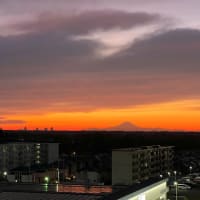 富士山が見える日