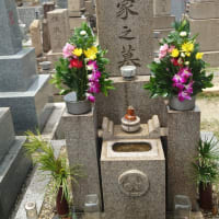 お墓参りと東本願寺（澤田沢治の雑記帳）
