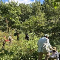 初秋の里山自然散歩の様子