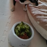 笑ってゴメンナサイ