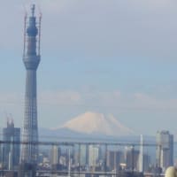 東京スカイツリーと富士山のコラボ（2011年元旦）