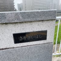 荒川放水路〜旧中川沿いを歩く①