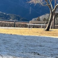 月イチ搬入の日