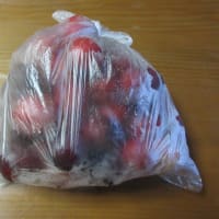 頂き物です