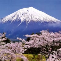母との面会