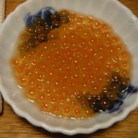 琥珀通信。。お楽しみの秋