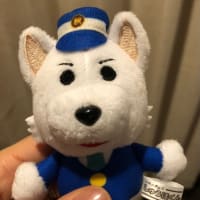 これが衝動買いですか。