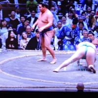 5/20 豊昇龍　一山本