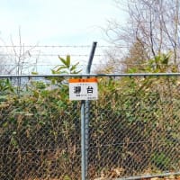 瀞台・272.7ｍ（名水側）