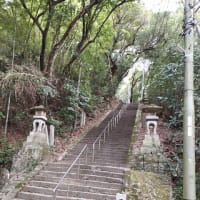 3日目