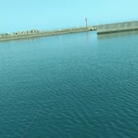 懐かしい道