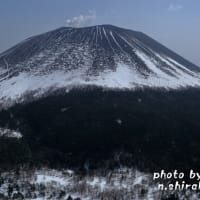 残り形