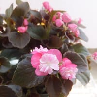 思いにふける