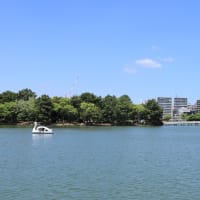 薫風の大濠公園：福岡市中央区