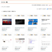 goo blogの使える写真総容量は公称の1/3程度
