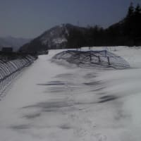 籾殻燻炭撒き