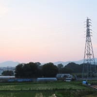 二上山の日の出～北大伴　千早川４　２０２５．７