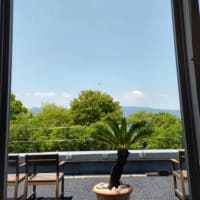 ブログでの出会い