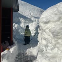魚沼市大栃山地区の活動の様子を紹介します！