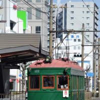 阪堺電気軌道 宿院(2023.2.5)  昭和４０年代復元車 モ１６１ 貸切