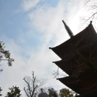 法華経寺の梅