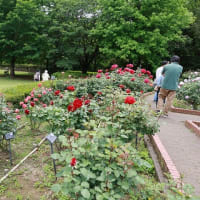 智光山公園