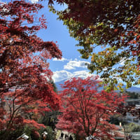 まだ紅葉があった富士山周辺の神社とYouTube更新