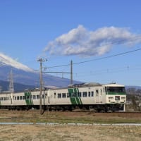 さよなら国鉄特急形電車