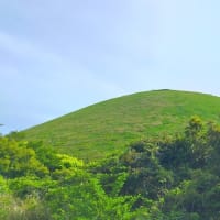 伊豆半島　🈩周