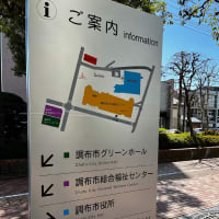 20230316,19 春を歩く