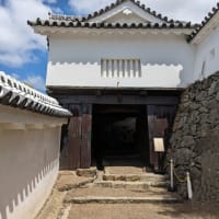 ５泊６日の京都旅行　その８