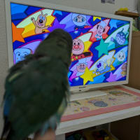 瀧昌さまのお顔は✨✨