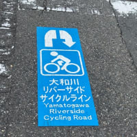 大和川リバーサイドサイクルライン
