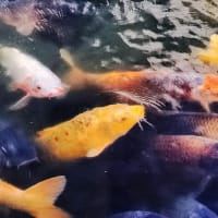 お久しぶり！花粉症です😭