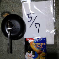 つばさ日記2022-05-08夜　【超短文】疲れました