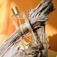 Tìm hiểu về mùi hoa nhài và nước hoa mùi hoa nhài