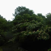 月曜サークル対話（すきな物はいつ食べる？）