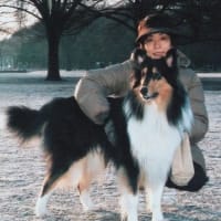 犬のいる人生　犬のいる暮らしから 番外編　池田晶子さん6（最終回）