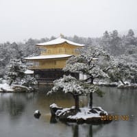 京都で雪