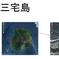 島のキャンプ場（東京諸島・伊豆諸島）