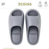 買って悪かったモノ (ベランダ用と考えたスリッパ/3COINS；病気でバランスが取れないため)