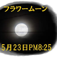 ＯＢ会研修旅行 淡路島・うずしおクルーズ ＆ 今夜の満月「フラワームーン」