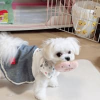 やっと復習できました！