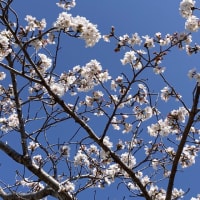 2025年4月初旬