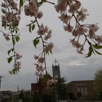 仙台の空、6年4月17日、水曜日