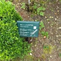 引越作業を始めてみた