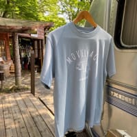 新色Tシャツ