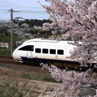 隣の市の桜と電車