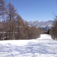 24-25 DAY7 いつの間にやら春スキーの季節